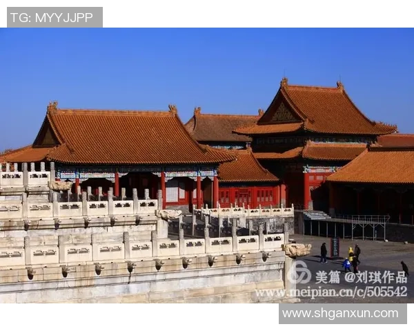 北京排球队实力解析:从历史辉煌到现状展望的全面剖析